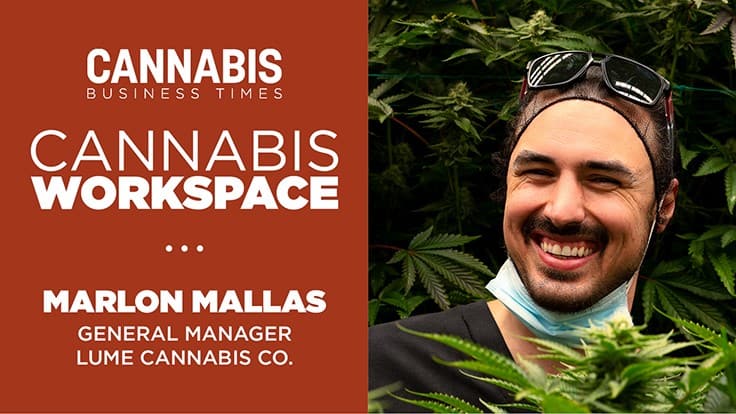 How Lume Cannabis Co.’s Marlon Mallas Works: Cannabis Workspace